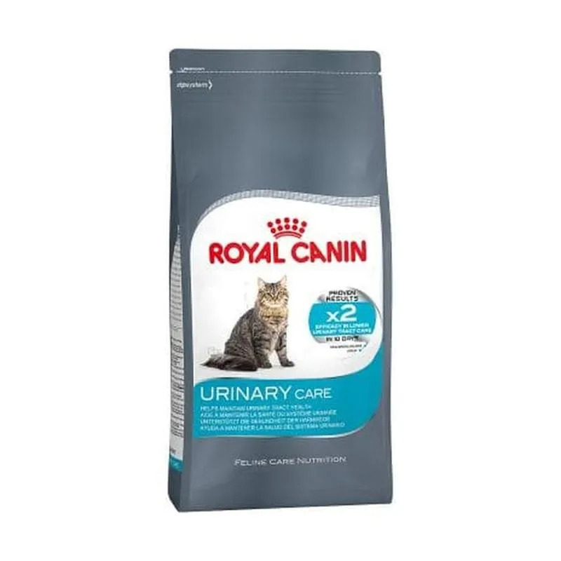 makanan kucing dewasa terbaik royal canin