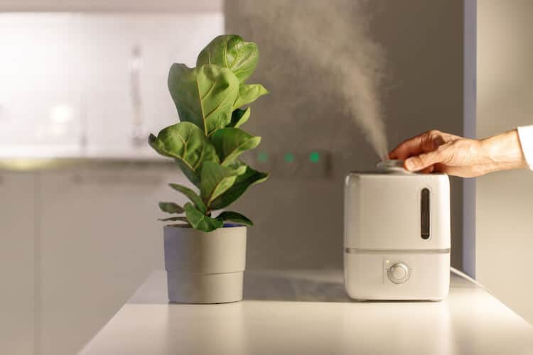 humidifier-untuk-bayi