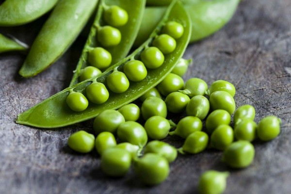 manfaat lentil untuk bumil