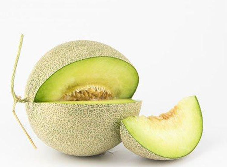 bakteri yang berbahaya untuk bumil pada buah melon