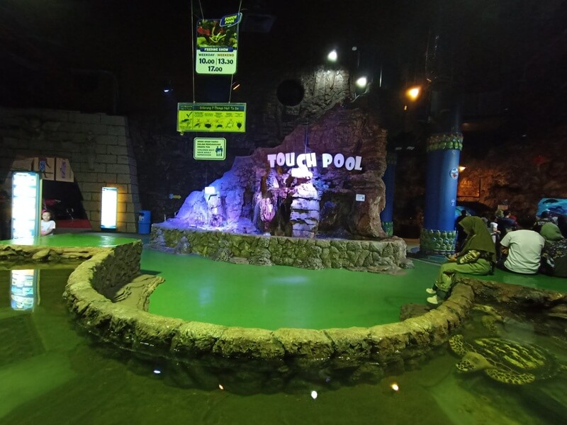 touch-pool-ancol